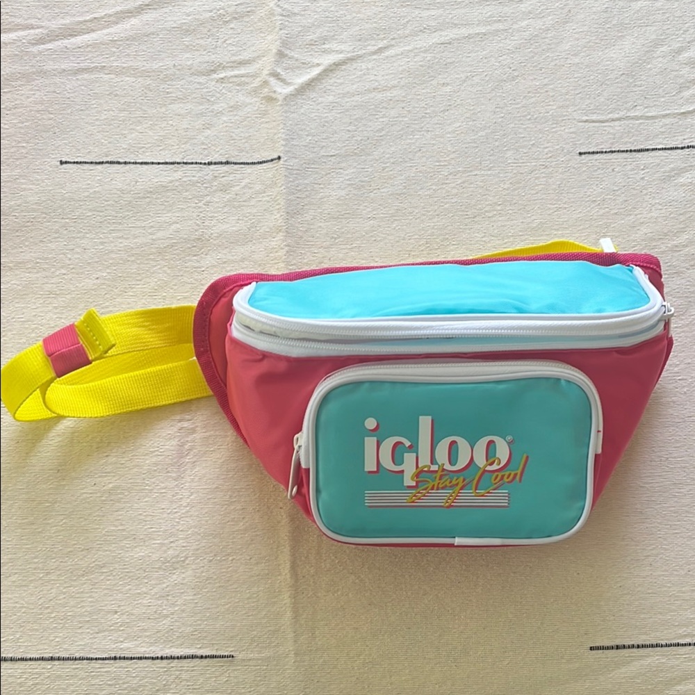 Igloo Colorblock Waist Fanny Pack - Pink, Teal & Yellow